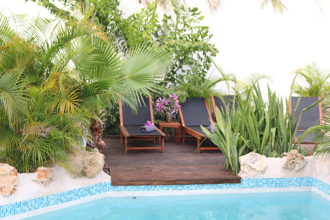 New House Tropic Paradise With Pool Willemstad Exteriér fotografie