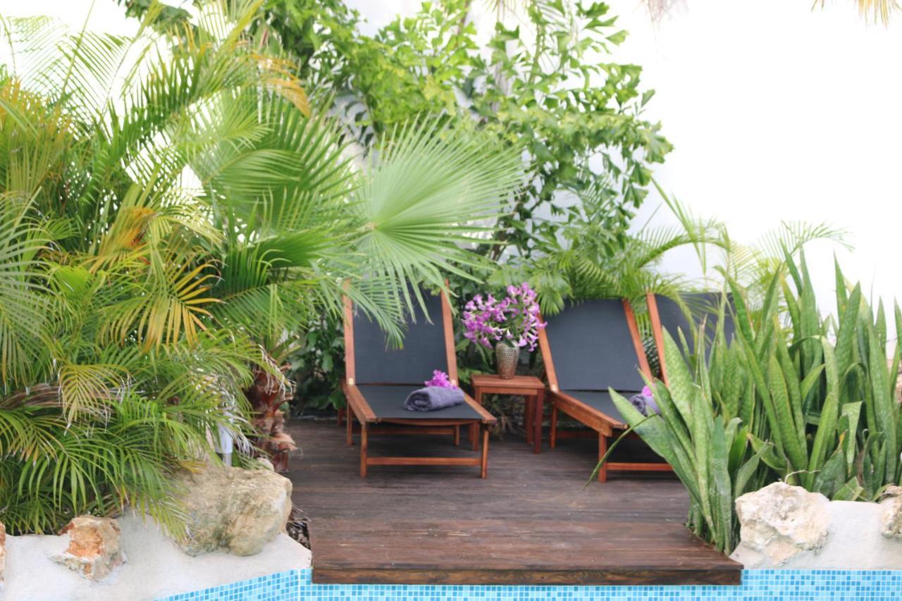 New House Tropic Paradise With Pool Willemstad Exteriér fotografie