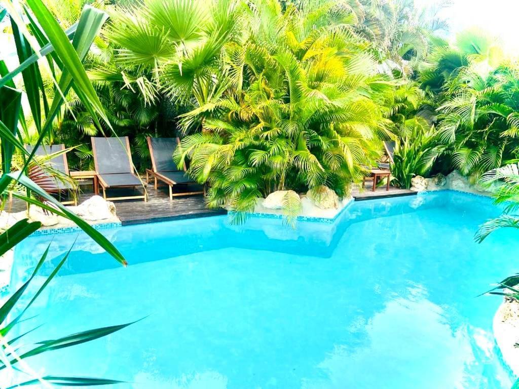 New House Tropic Paradise With Pool Willemstad Exteriér fotografie